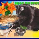 Масленичный кот