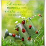 Летняя анимация