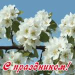 С весенним праздником 1 мая