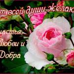 Красивая роза с пожеланием любви, счастья, и добра