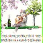 Влюблённый кот Вася