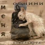 Одинокий, бездомный  котёнок