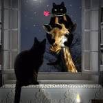Свидание мартовских котов